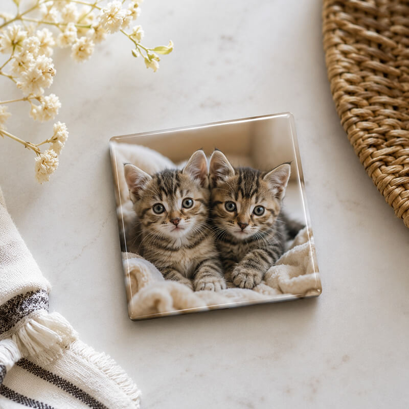 Fotomagnet mit zwei Katzen